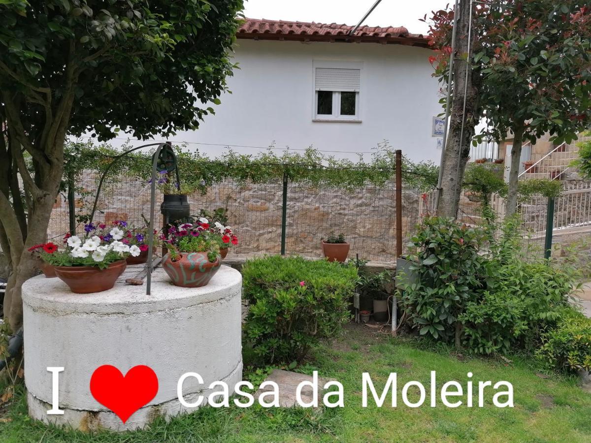 Casa Da Moleira Villa Amares Eksteriør billede